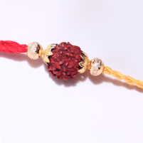 Rudraksha rakhi to USA